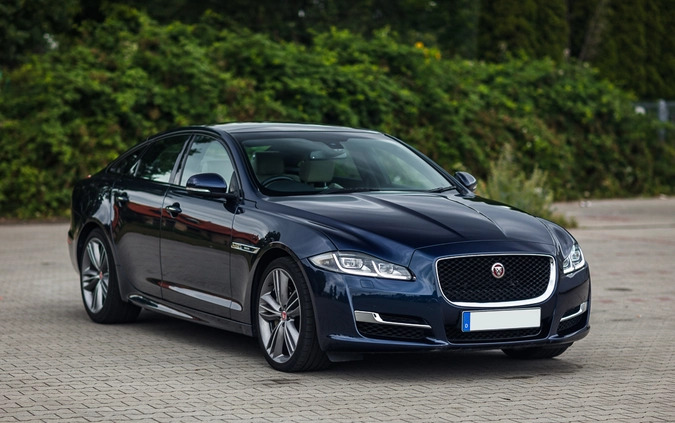 Jaguar XJ cena 116900 przebieg: 34000, rok produkcji 2017 z Wysoka małe 781